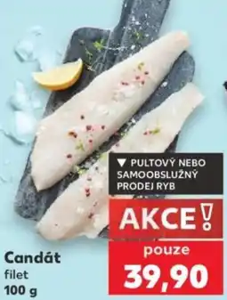 Kaufland Candát filet nabídka