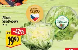 Albert Albert Salát ledový 1ks nabídka