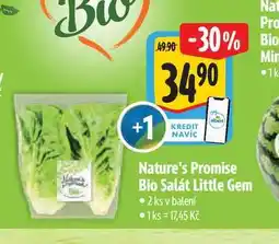 Albert Nature's Promise Bio Salát Little Gem 2 ks nabídka