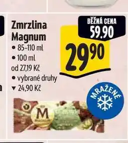 Albert Zmrzlina Magnum nabídka