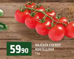Terno RAJČATA CHERRY KOKTEJLOVÁ nabídka