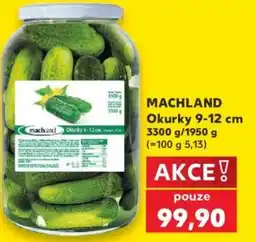 Kaufland MACHLAND Okurky 9-12 cm nabídka