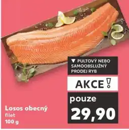 Kaufland Losos obecný filet nabídka