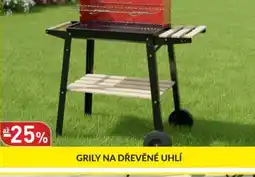 Baumax Grily na dřevěné uhlí nabídka