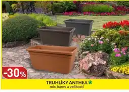 Baumax Truhlíky anthea nabídka
