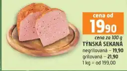 Terno TÝNSKÁ SEKANÁ nabídka