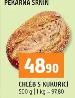 Terno CHLÉB S KUKUŘICÍ nabídka