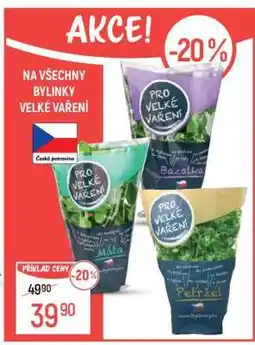 Globus Bylinky Velké Vaření nabídka