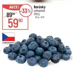 Globus Borůvky velkoplodé nabídka