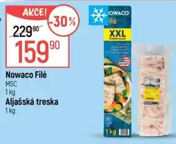 Globus Nowaco Filé nabídka
