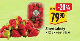 Albert Albert Jahody nabídka
