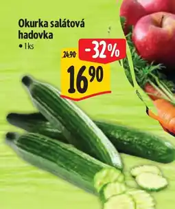Albert Okurka salátová hadovka nabídka