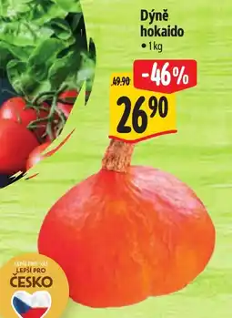 Albert Dýně hokaido nabídka