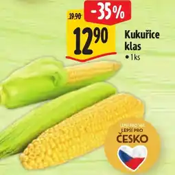 Albert Kukuřice klas nabídka