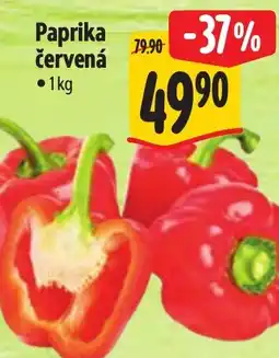 Albert Paprika červená nabídka