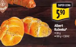 Albert Albert Raženka nabídka