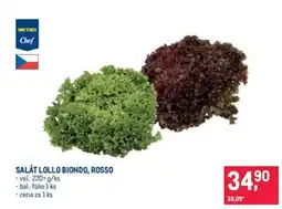 Makro Salát lollo biondo, rosso nabídka