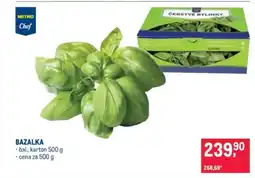 Makro Bazalka nabídka