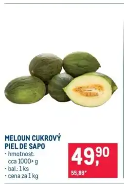 Makro Meloun cukrový piel de sapo nabídka
