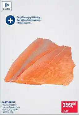 Makro Losos trime nabídka