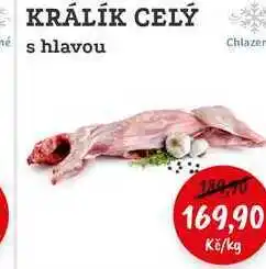 RABBIT řeznictví KRÁLÍK CELÝ s hlavou nabídka