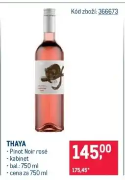 Makro THAYA nabídka