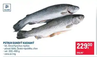 Makro Pstruh duhový kuchaný nabídka