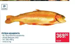 Makro Pstruh aquabonita nabídka