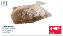 Makro Kambala velká nabídka