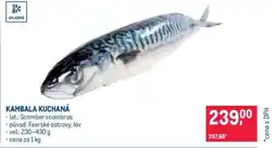 Makro Kambala kuchaná nabídka