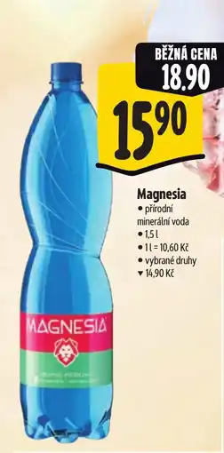 Albert Magnesia nabídka