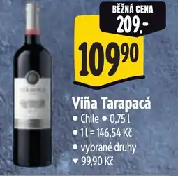 Albert Viña Tarapacá nabídka