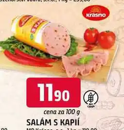 Trefa SALÁM S KAPIÍ nabídka