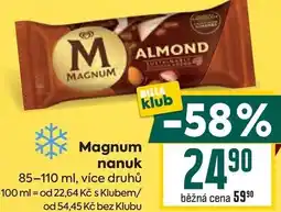 Billa Magnum nanuk nabídka