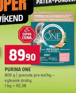 Terno Purina One nabídka