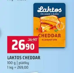 Terno LAKTOS CHEDDAR nabídka