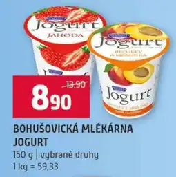 Terno BOHUŠOVICKÁ MLÉKÁRNA JOGURT nabídka