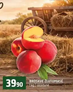 Terno Broskve žlutomasé nabídka
