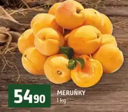 Terno Meruňky nabídka