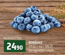 Terno Borůvky nabídka