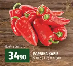 Terno Paprika kapie nabídka