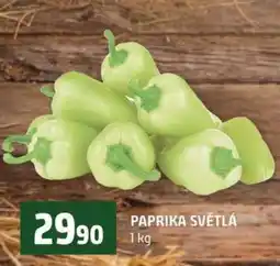 Terno Paprika světlá nabídka
