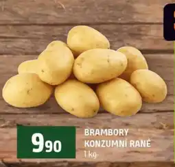 Terno Brambory konzumní rané nabídka