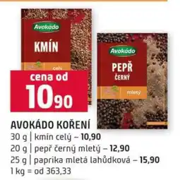 Terno Avokádo koření nabídka