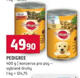 Terno Pedigree nabídka