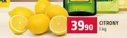 Terno Citrony nabídka