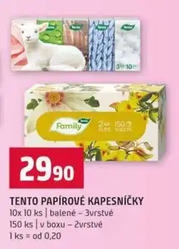 Terno Tento Papírové kapesníčky nabídka