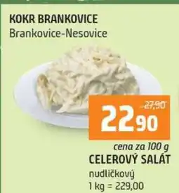 Terno Celerový salát nabídka