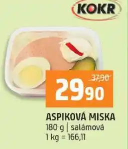 Terno Aspiková miska nabídka