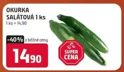 Terno OKURKA SALÁTOVÁ 1 ks nabídka